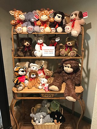 Teddy Bears - All Sizes - $4.99 - $69.99)