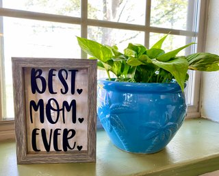 Small Ceramic Potted Plant - $29.99 Accompanied By Our Monogram Shadow Box - $10.00