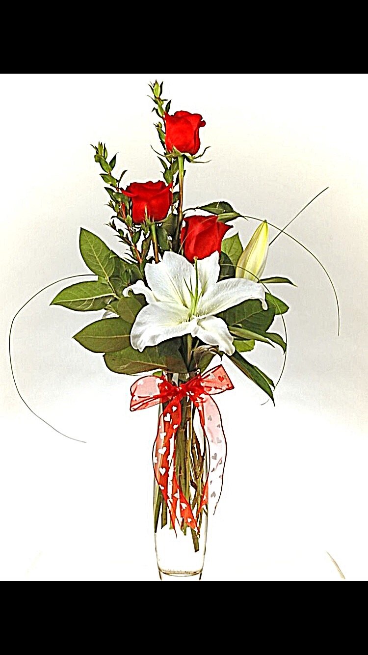 Larkspur margaritas Queen Anne de encaje real flores secas Mini rosas handi-kafu Mixed múltiples Pressed Flowers 